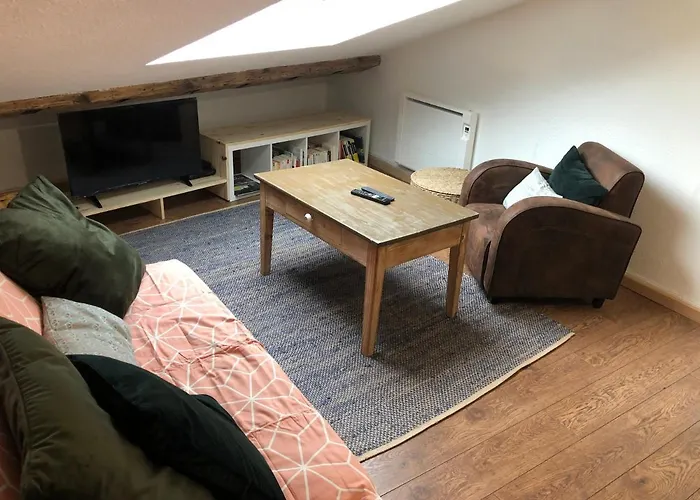 Le Boho / Rent4night 公寓 格勒诺布尔